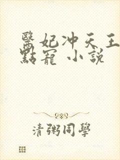 医妃冲天王爷轻点宠 小说