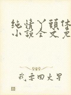 纯情丫头休想逃小说全文免费阅读