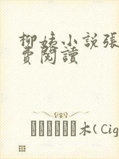 柳姨小说张浩免费阅读