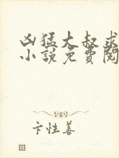 凶猛大叔求放过小说免费阅读