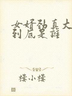 女婿劲真大枪枪到底是谁封面
