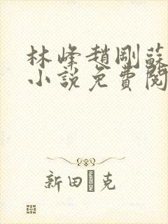 林峰赵刚苏柔的小说免费阅读