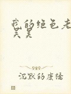 我的绝色老板娘吴昊