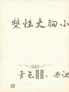 双性大胸小说