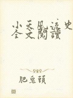 小天风流史小说全文阅读