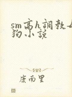 sm高h调教母狗小说封面