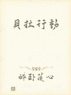 贝拉行动