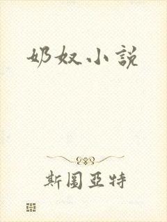 奶奴小说