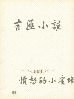 有匪小说