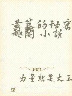 黄蓉的秘密 笔趣阁 小说封面