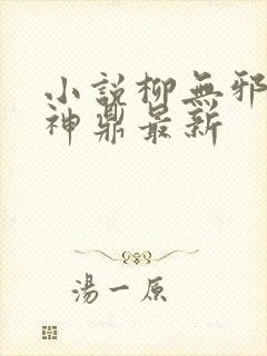 小说柳无邪吞天神鼎最新封面