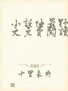 小说他最野了全文免费阅读封面
