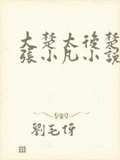 大楚太后楚清璇张小凡小说