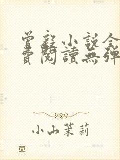 曾毅小说全文免费阅读无弹窗