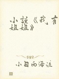 小说《我有三千姐姐》