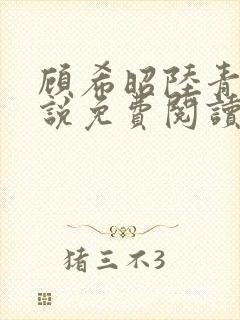顾希昭陆青川小说免费阅读最新章节