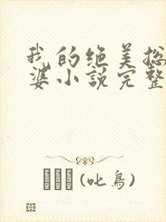 我的绝美总裁老婆小说完整版