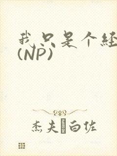 我只是个经纪人(NP)