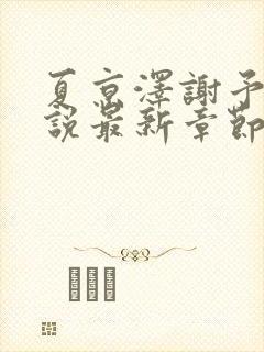 夏京泽谢予薇小说最新章节更新内容封面