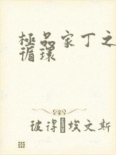 极品家丁之因果循环