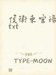 侯卫东官场笔记txt