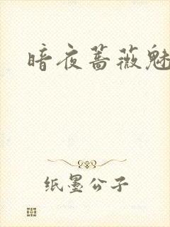 暗夜蔷薇魅