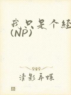 我只是个经纪人(NP)