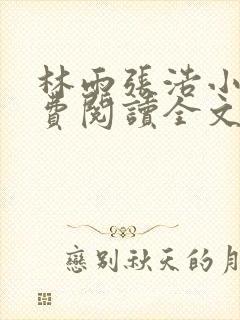 林雨张浩小说免费阅读全文最新章节封面