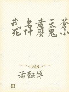 我名黄天苍天已死什么鬼小说笔趣阁