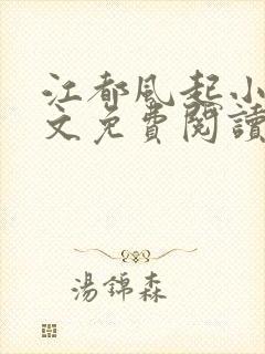 江都风起小说全文免费阅读无弹窗封面