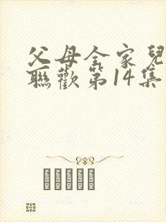 父母全家儿女大联欢第14集封面