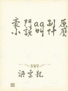 豪门aa制原著小说叫什么