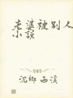 老婆被别人操了小说