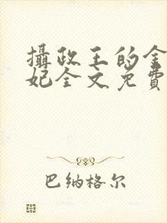 摄政王的金牌宠妃全文免费阅读封面