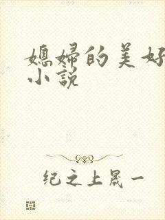 媳妇的美好时代小说
