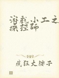 游戏小工之元素操控师封面