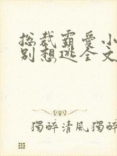 总裁霸爱小娇妻别想逃全文免费阅读封面