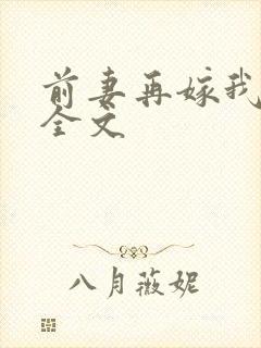 前妻再嫁我一次全文封面