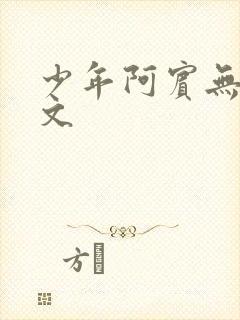 少年阿宾无删全文
