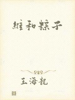 维和粽子