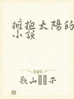 拥抱太阳的月亮小说