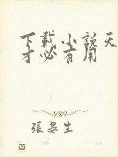 下载小说天降我才必有用封面