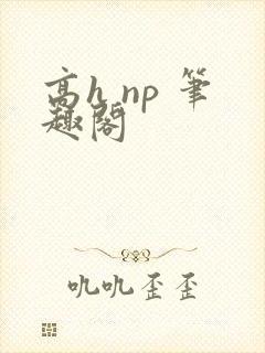 高h np 笔趣阁