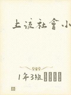 上流社会小说