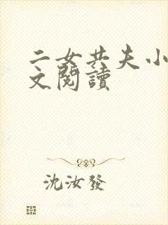 二女共夫小说全文阅读封面