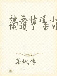 被无情道小师弟倒追了 番外