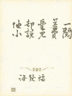 他却爱着一个他小说免费阅读全文
