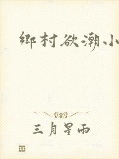 乡村欲潮小说