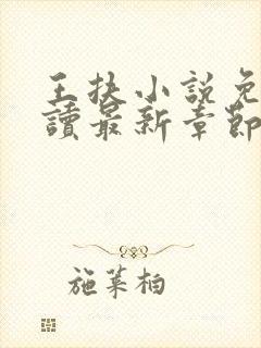 王扶小说免费阅读最新章节无弹窗