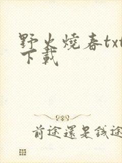 野火烧春txt下载